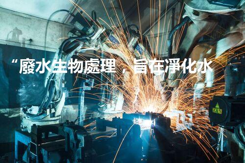 “廢水生物處理，旨在凈化水源，守護(hù)碧水藍(lán)天”